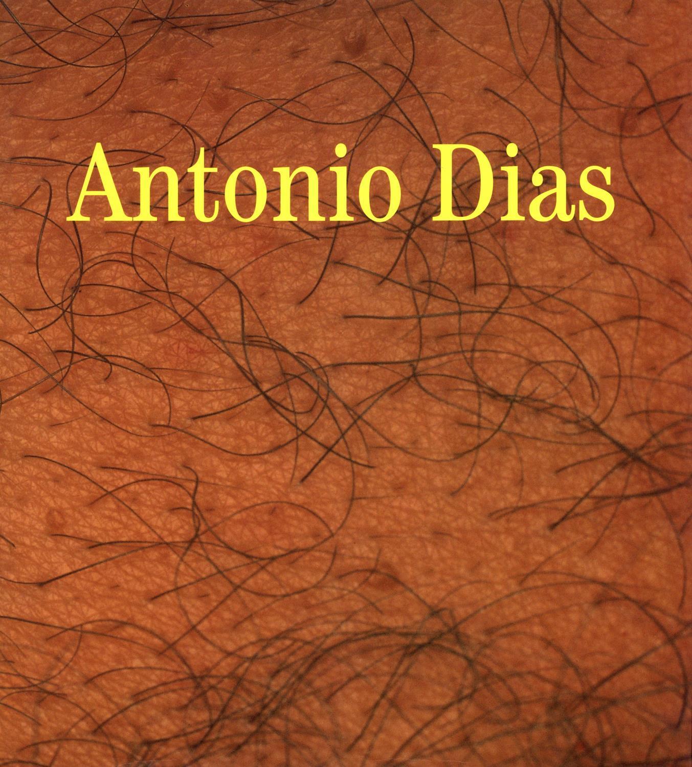 Antonio Dias. Trabalhos, 1965 – 1999
