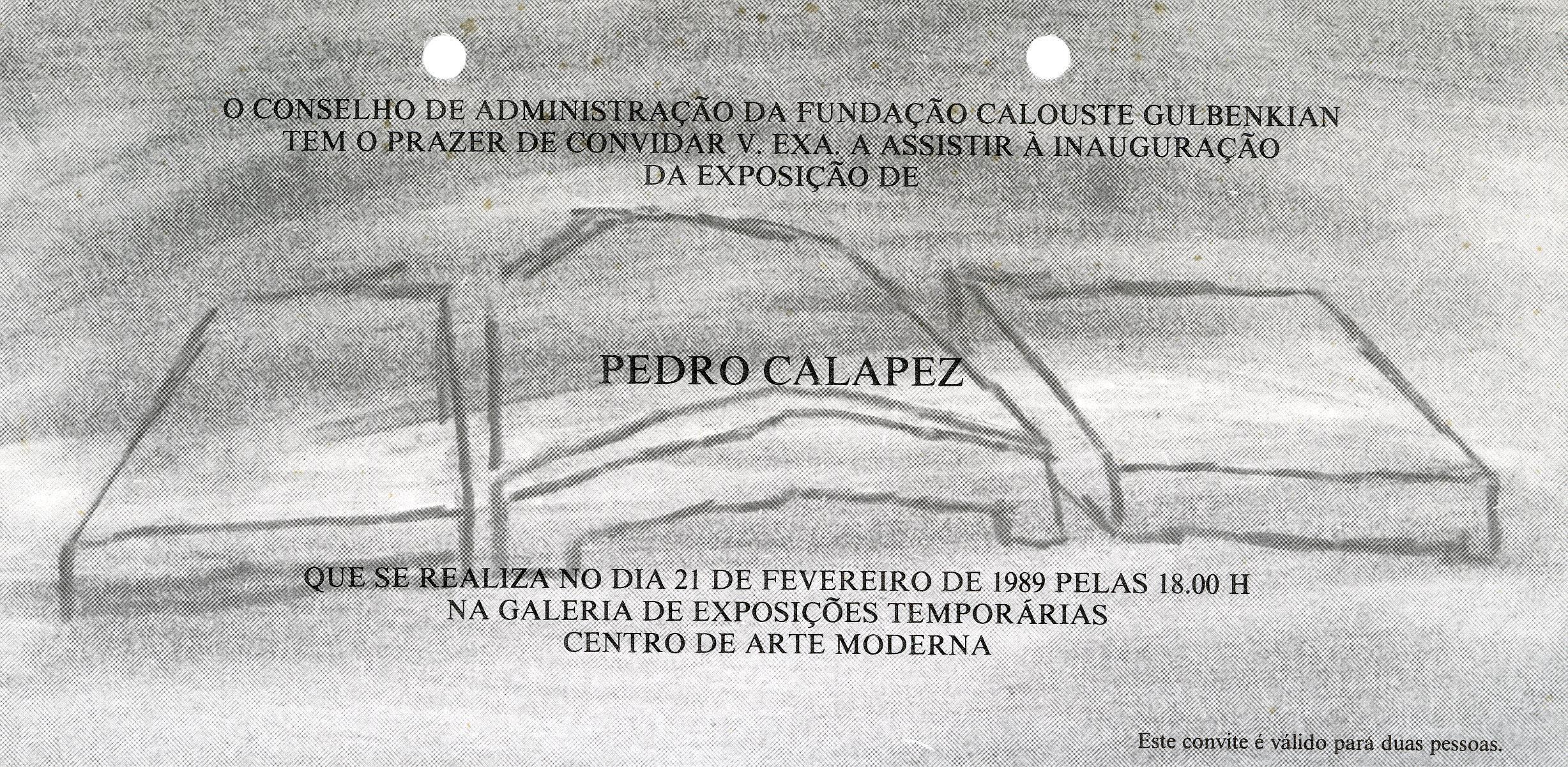 Pedro Calapez. Desenhos sobre Madeira
