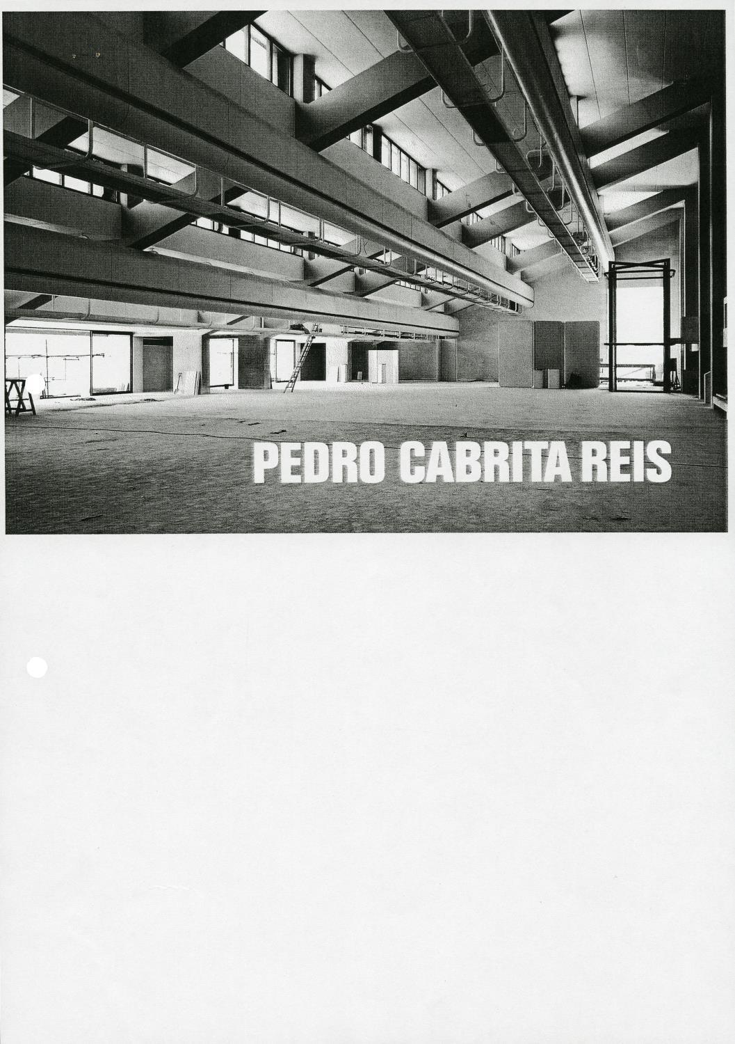 Pedro Cabrita Reis. Fundação