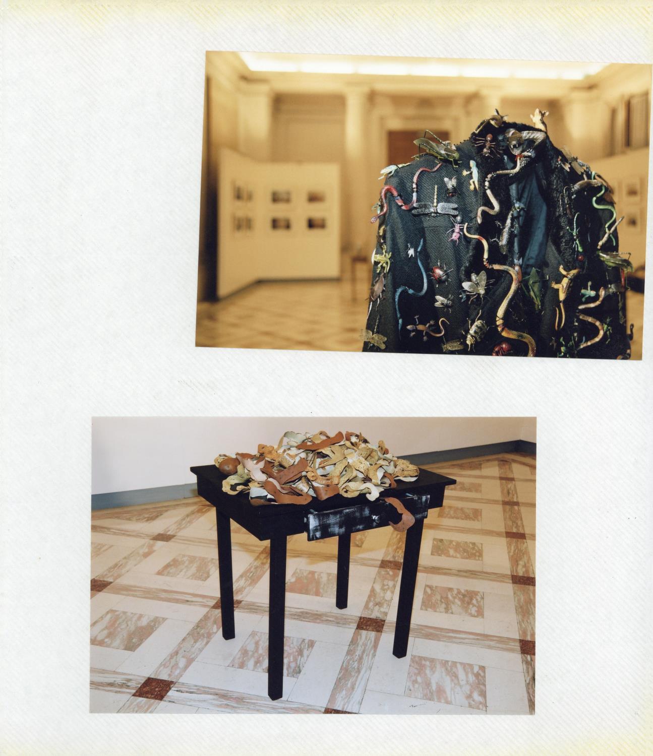 Fotografias em álbum de aspetos e da inauguração da exposição