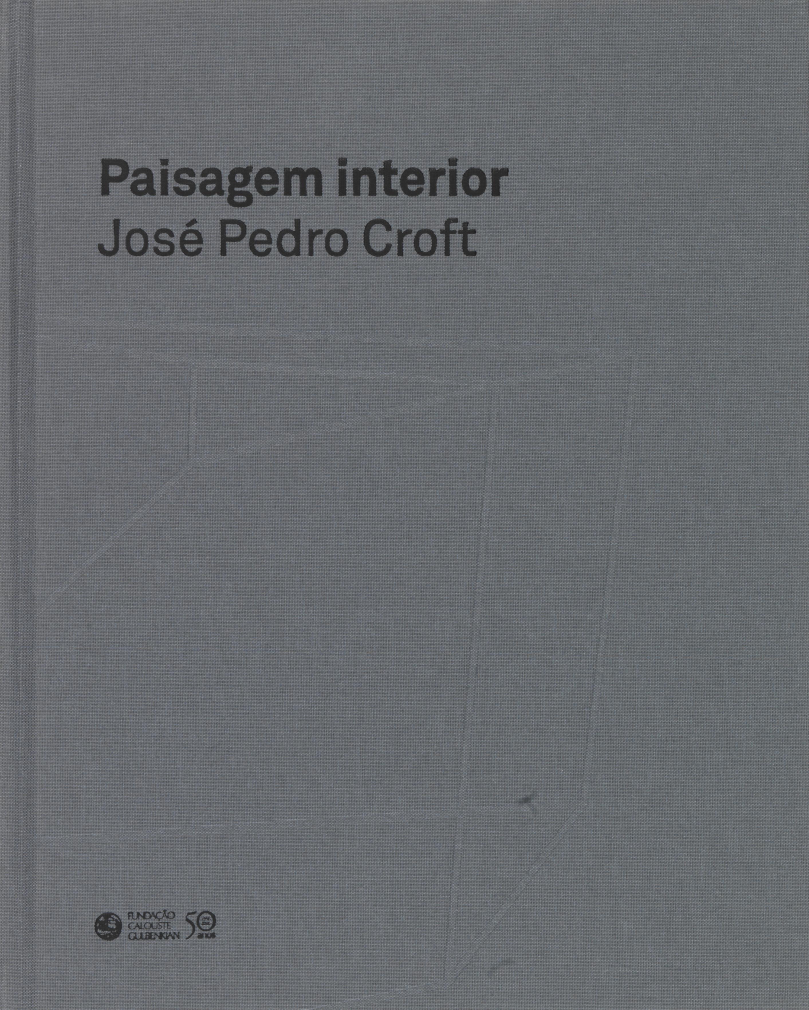 Paisagem Interior. José Pedro Croft