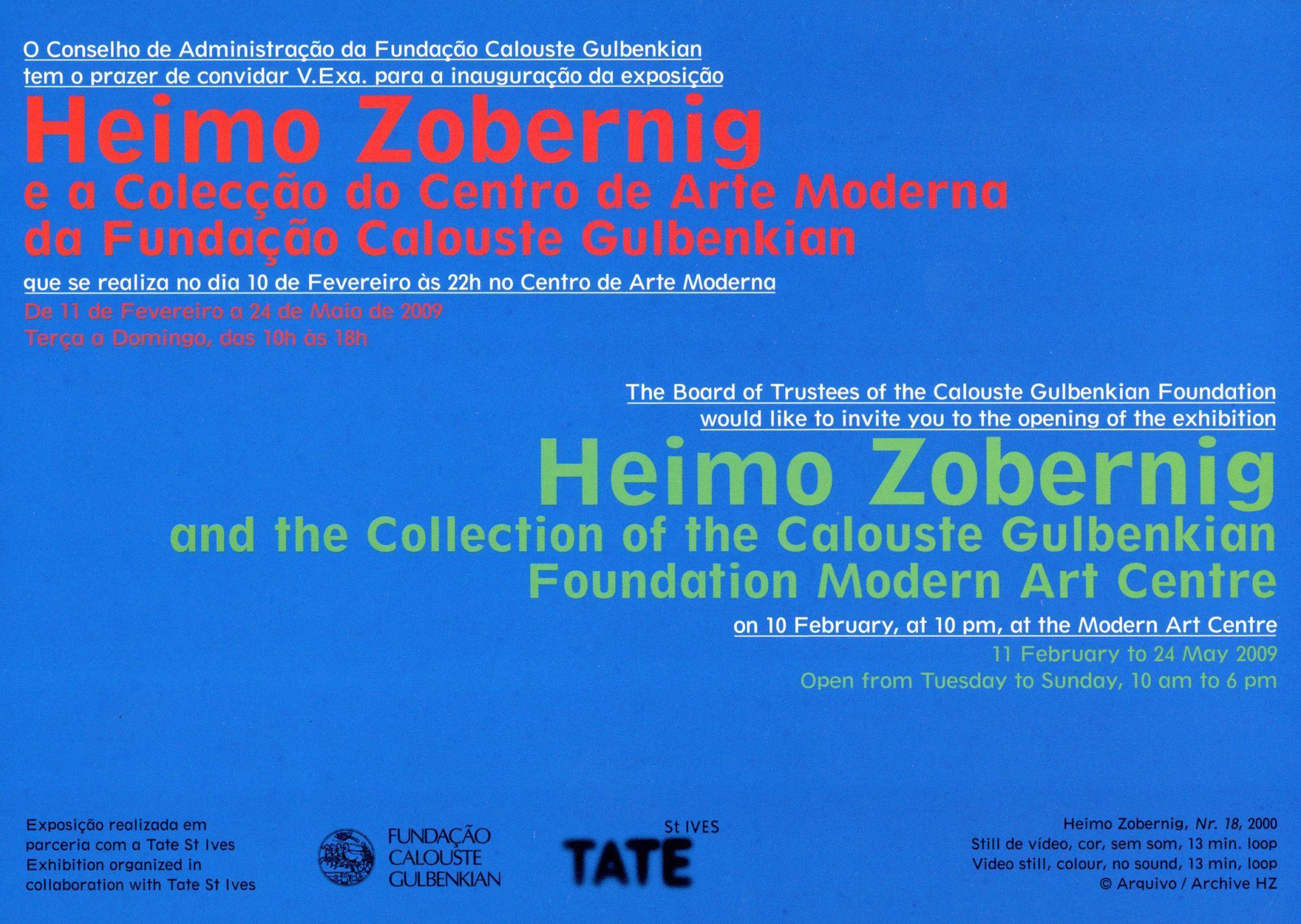 Heimo Zobernig e a Colecção do Centro de Arte Moderna da Fundação Calouste Gulbenkian