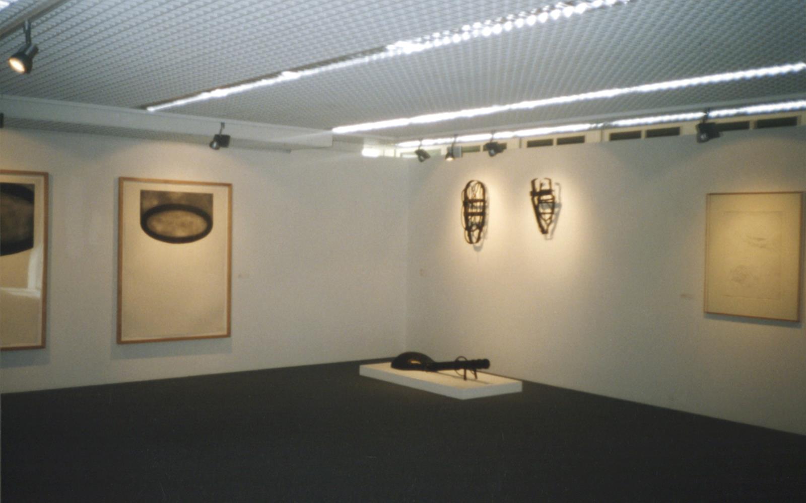 Arte Portugués desde 1960 en la Colección del Centro de Arte Moderna José de Azeredo Perdigão de la Fundação Calouste Gulbenkian