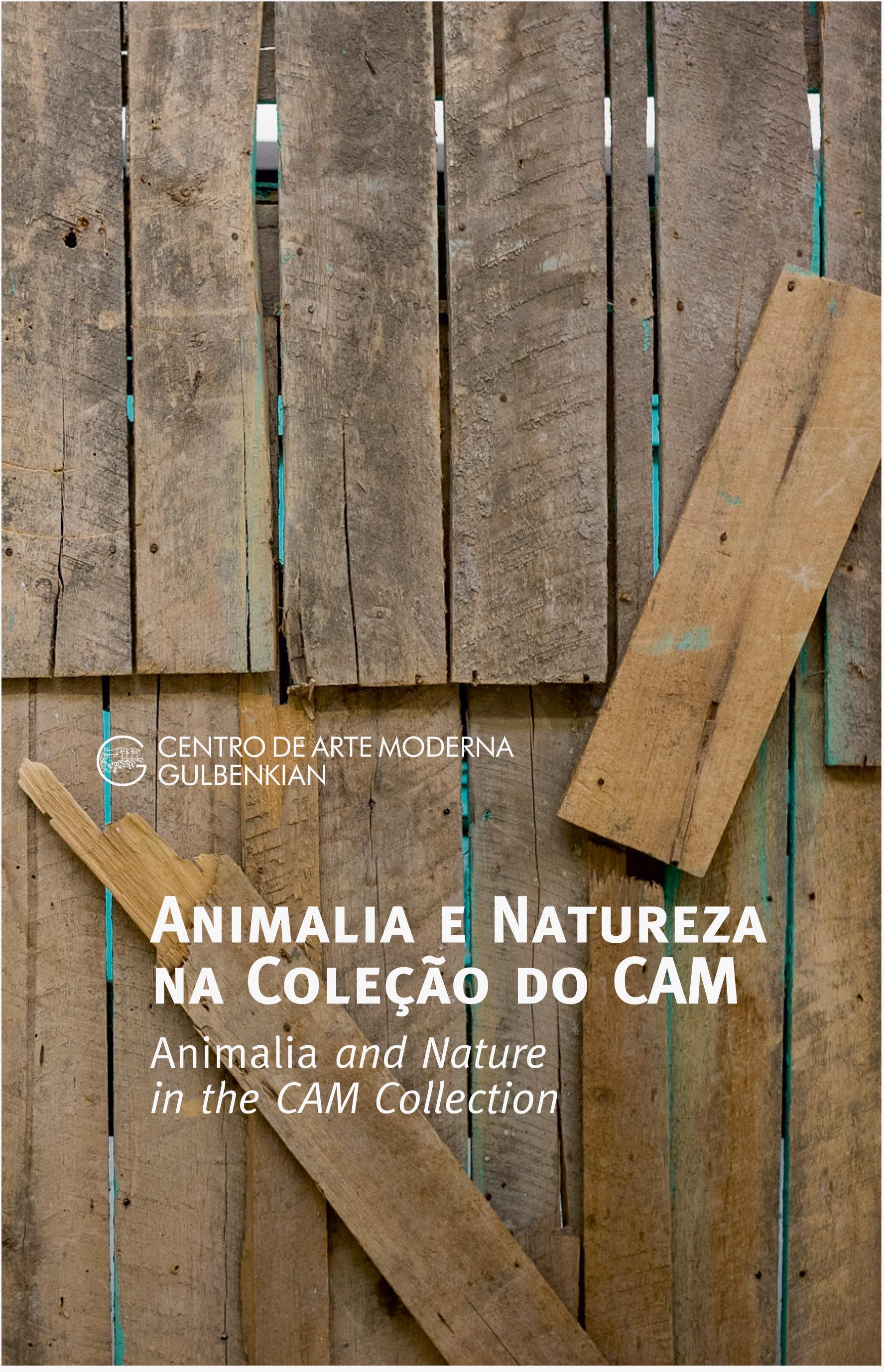 Animalia e Natureza na Coleção do CAM