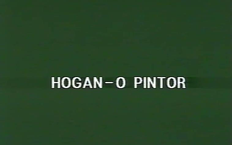 Hogan. O Pintor
