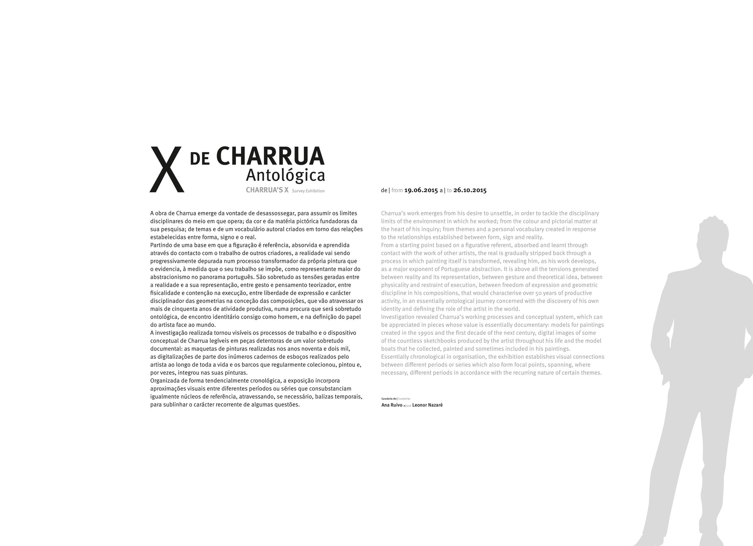 X de Charrua [painel]