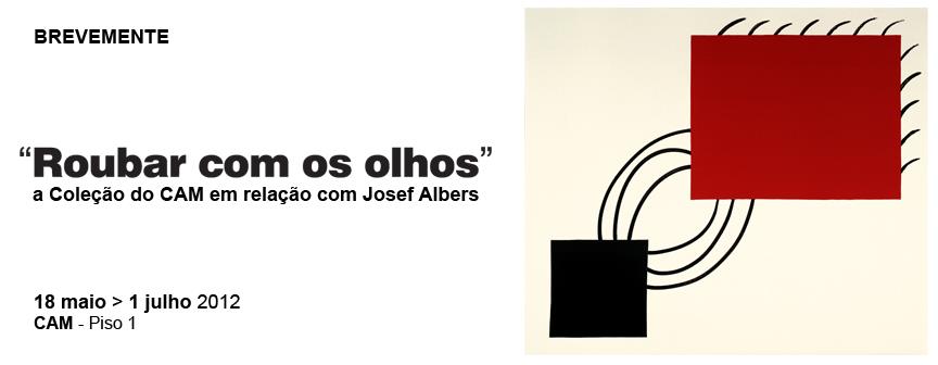 Roubar com os Olhos. A Coleção do CAM em Relação com Josef Albers