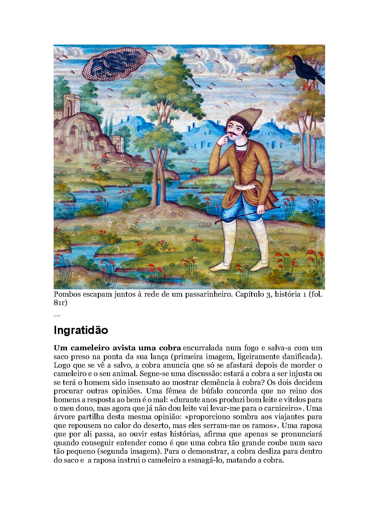 Texto_Site_Page_13