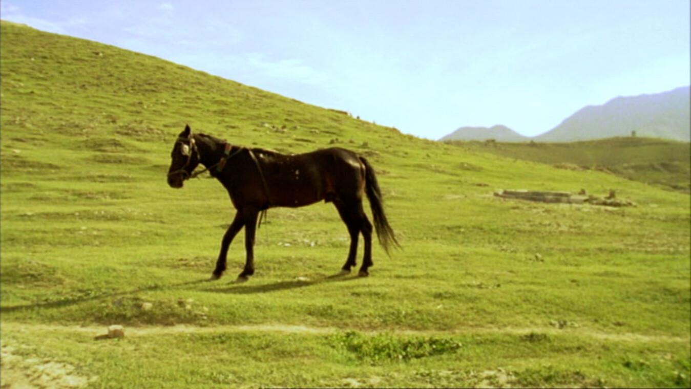 Frame do vídeo de Lida Abdul, «White Horse», 2006 (Col. CAM, Inv. 14IM67)