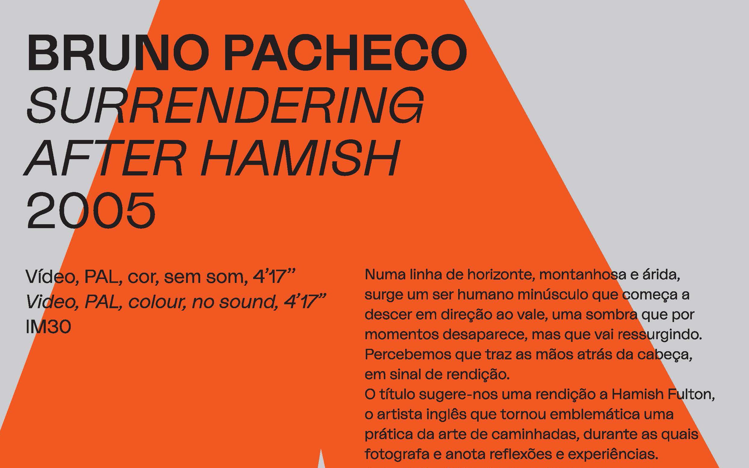 CAM em Movimento. Bruno Pacheco, «Surrendering after Hamish», 2004