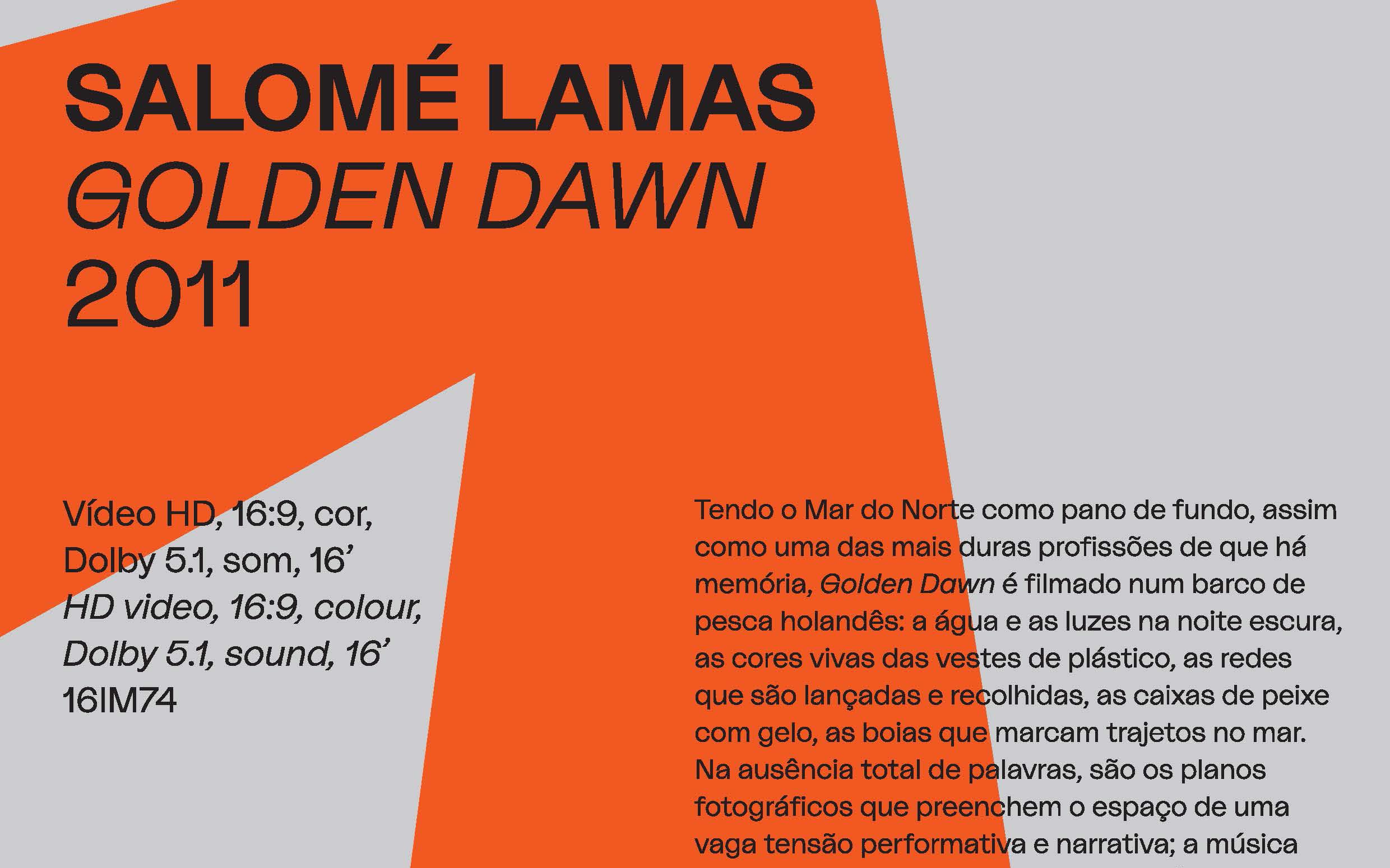 CAM em Movimento. Salomé Lamas, «Golden Dawn», 2011