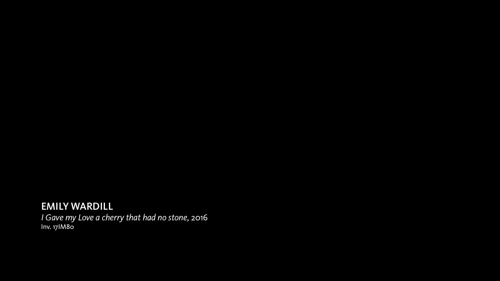 Frame do vídeo de Emily Wardill, «I gave my love a cherry that had no stone», 2016 (Col. CAM, Inv. 17IM80)
