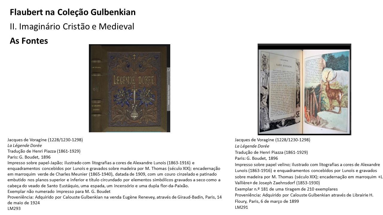 Flaubert_Apresentacao_Slide4
