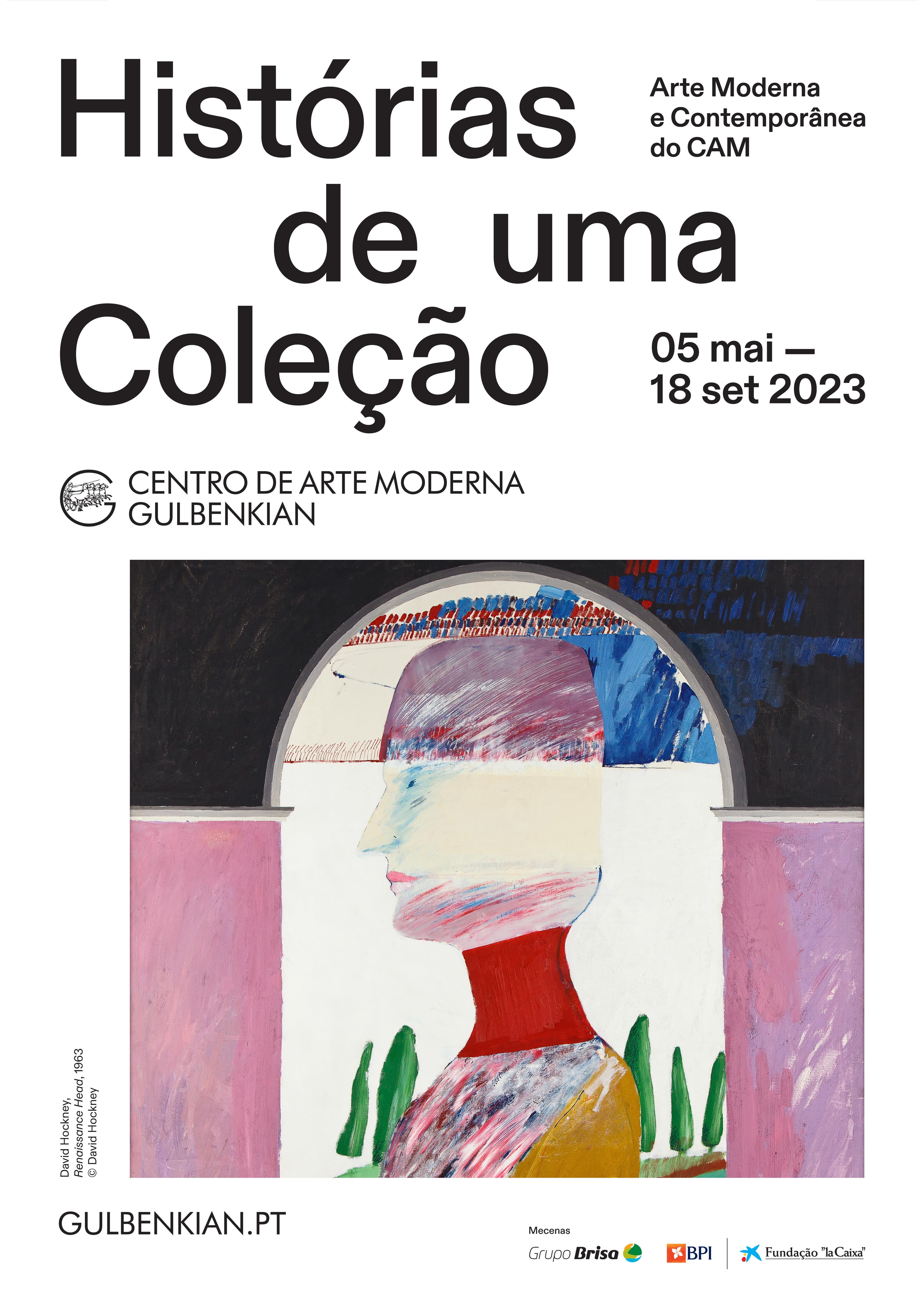 Histórias de uma Coleção. Arte Moderna e Contemporânea do CAM