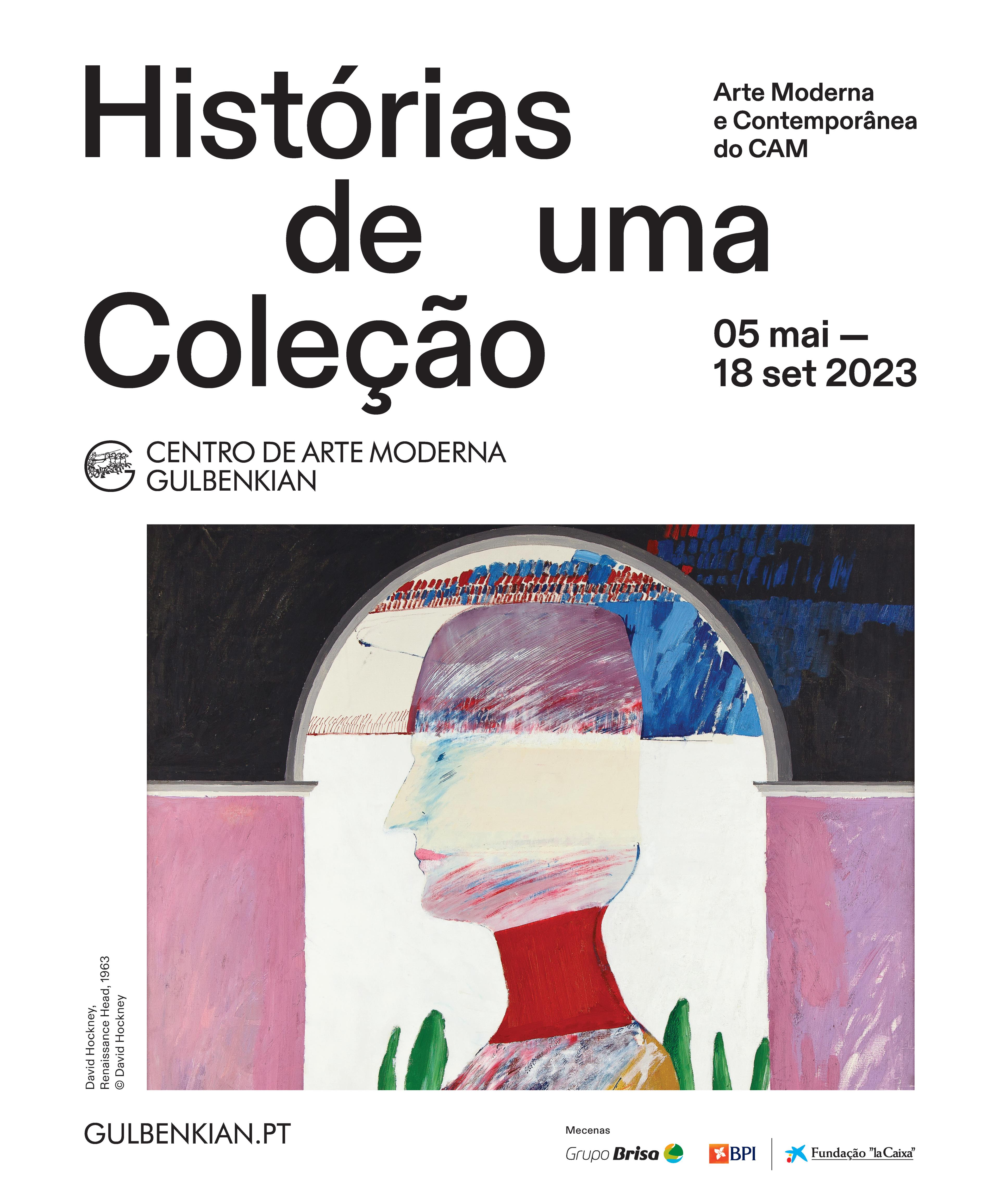 Histórias de uma Coleção. Arte Moderna e Contemporânea do CAM