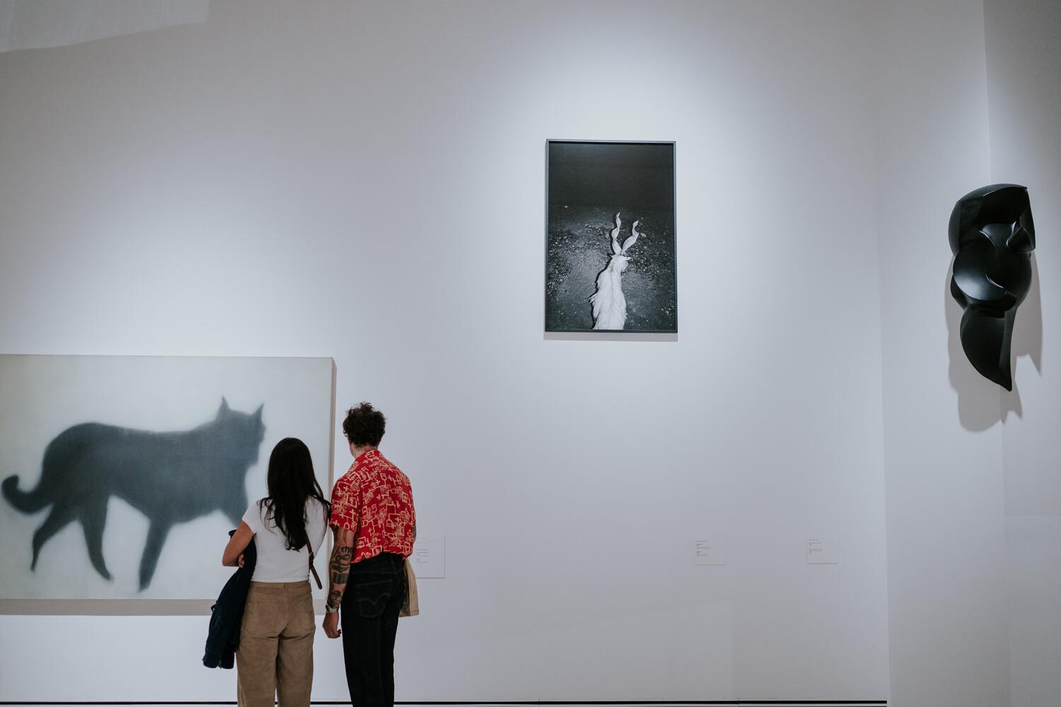 Aspetos com público