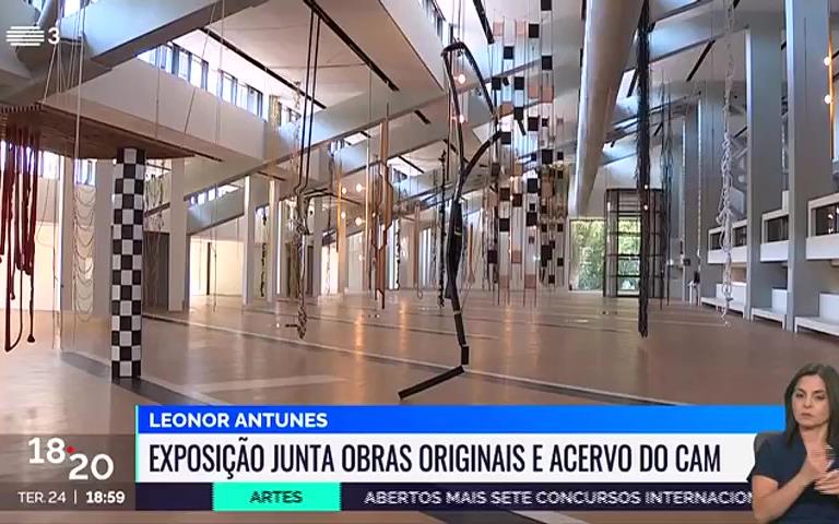 Leonor Antunes. da desigualdade constante dos dias de leonor
