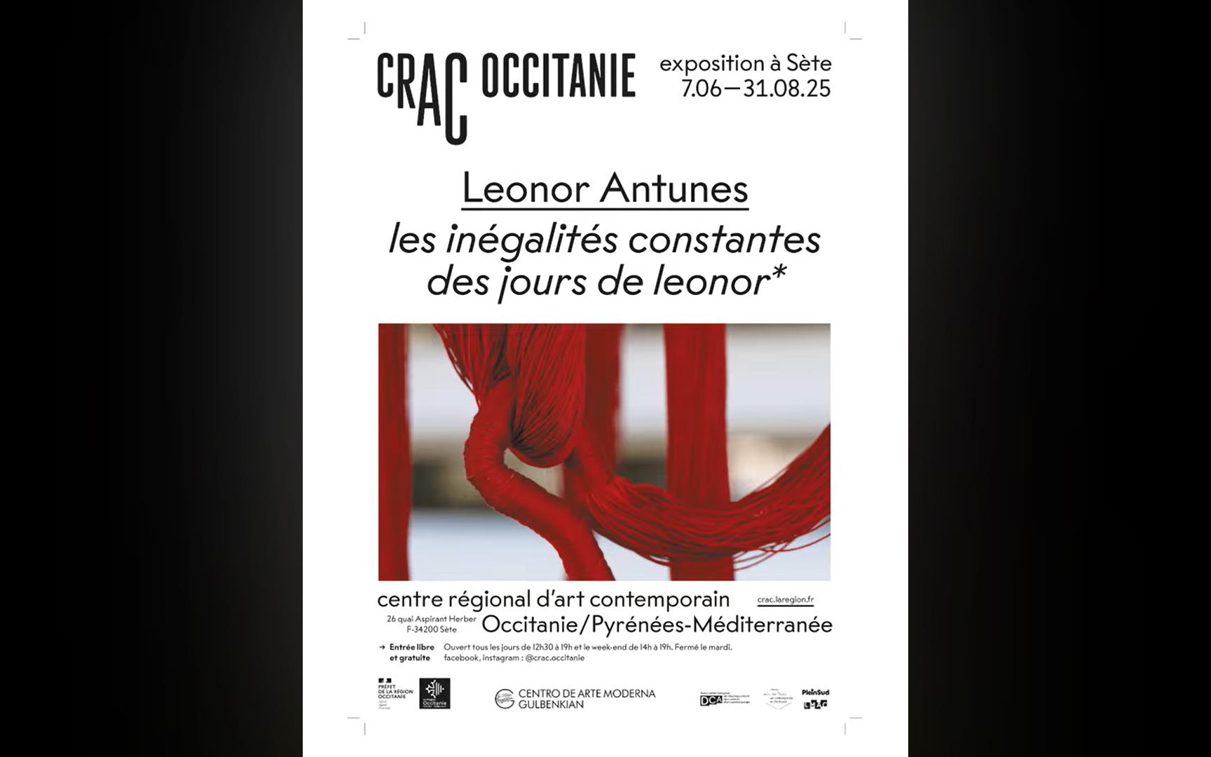 Leonor Antunes «Les inégalités constantes des jours de Leonor»