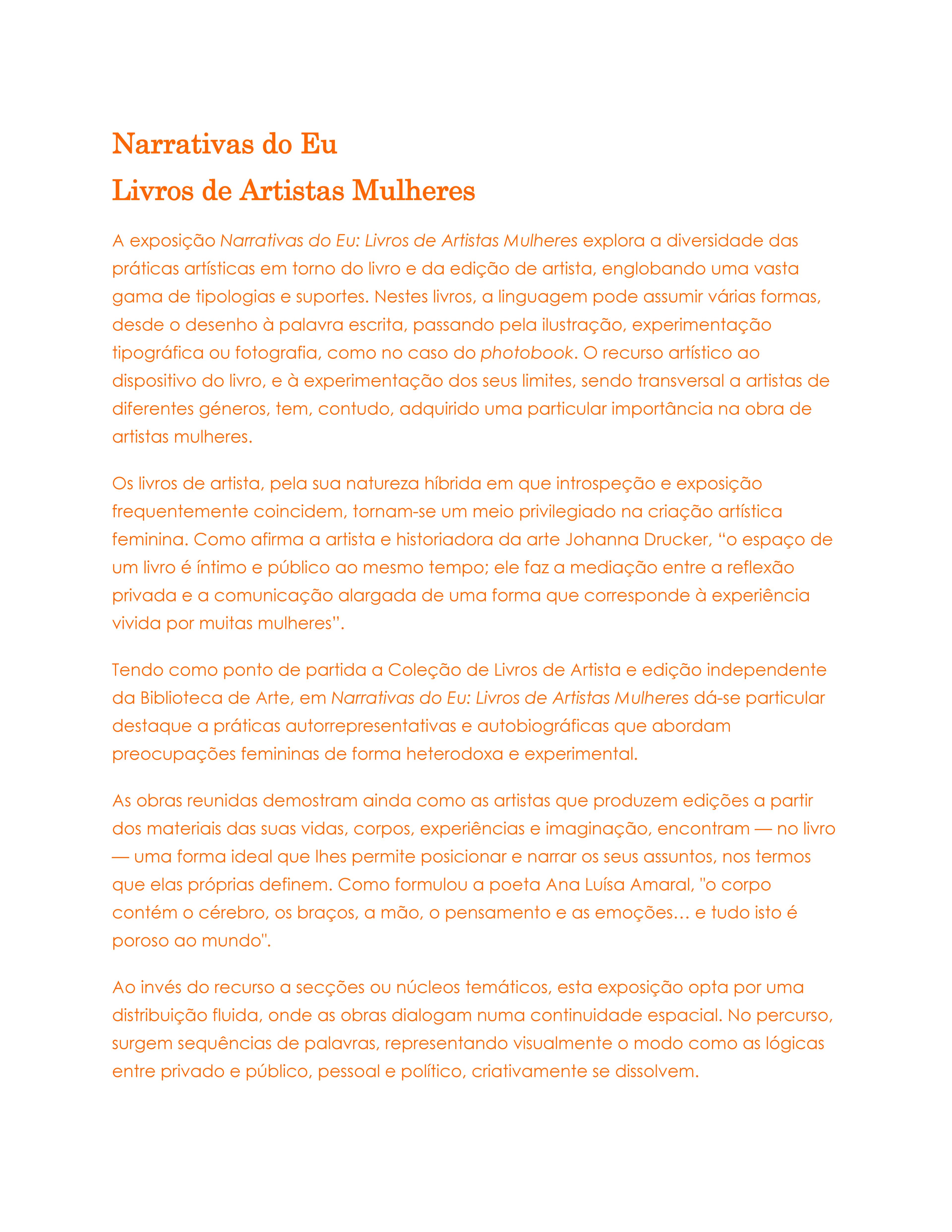 Narrativas_Eu_Texto-Painel_Sinopse_1