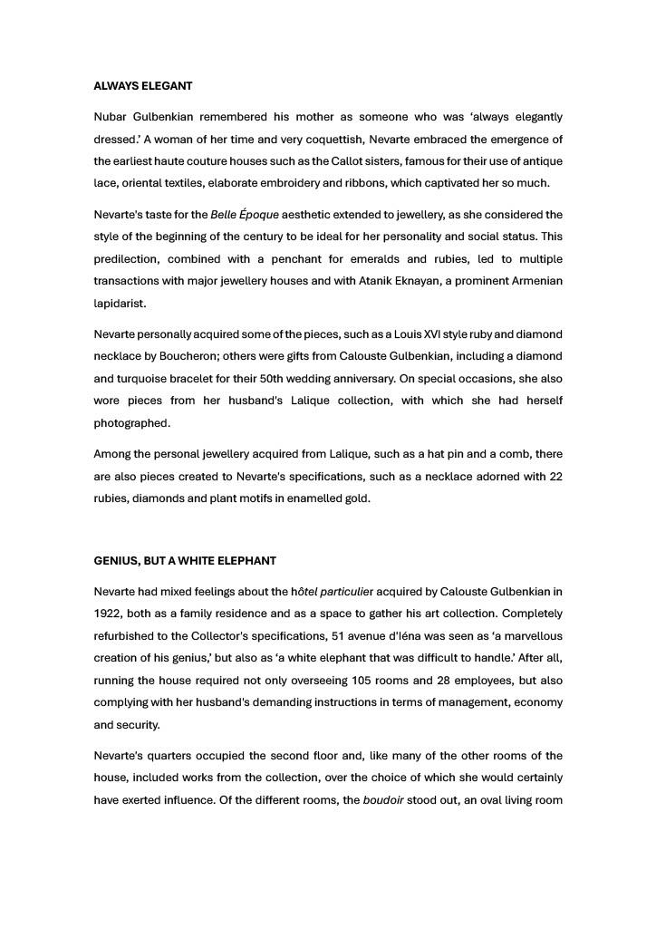Pagina web temas_Nevarte_2024_EN_Page_2