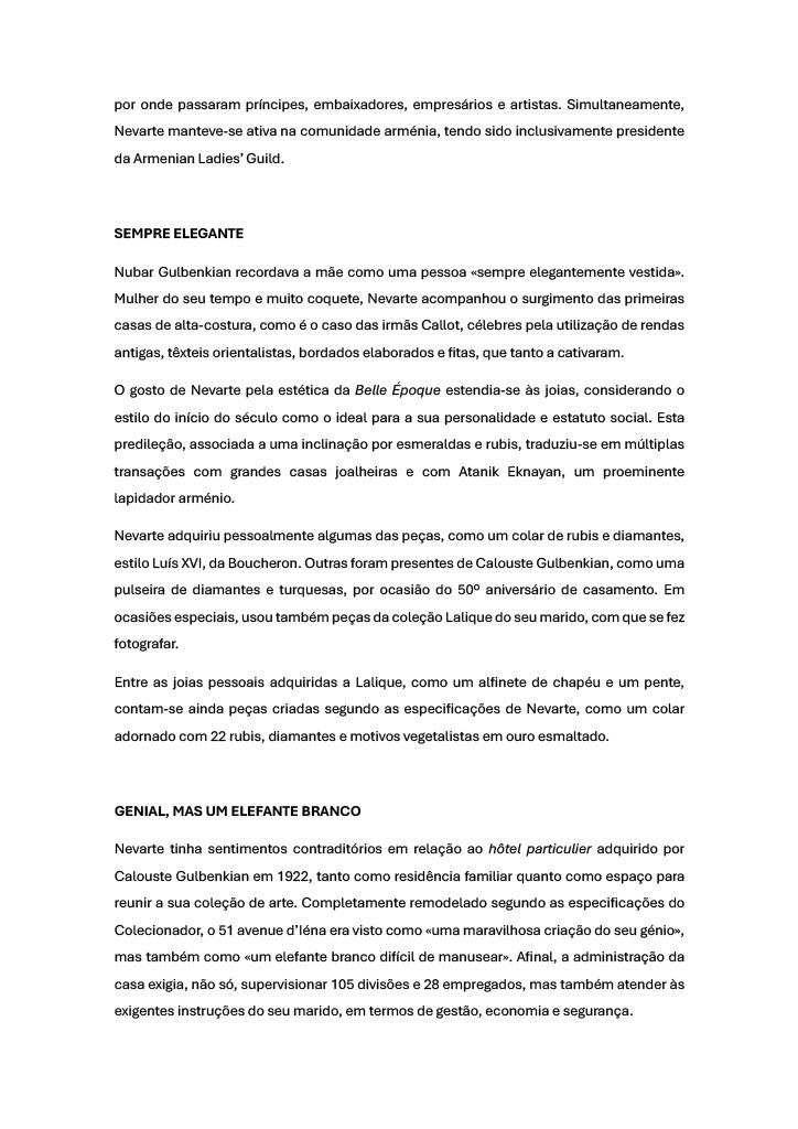 Pagina web temas_Nevarte_2024_PT_Page_2