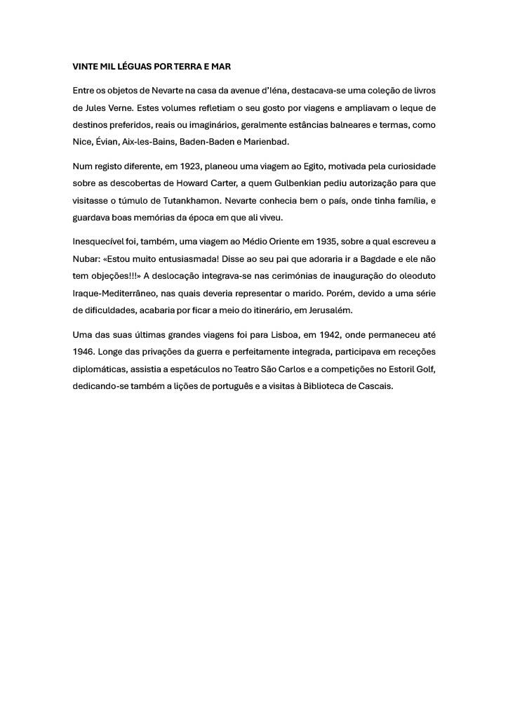 Pagina web temas_Nevarte_2024_PT_Page_4