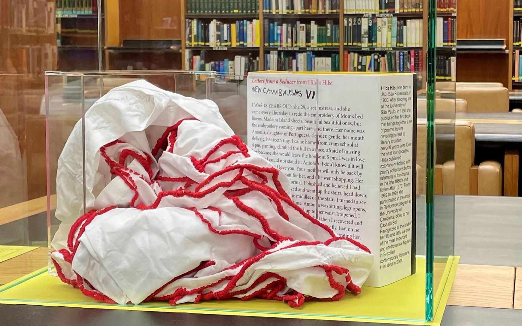 Um Olhar de Leonor Antunes sobre a Coleção da Biblioteca de Arte