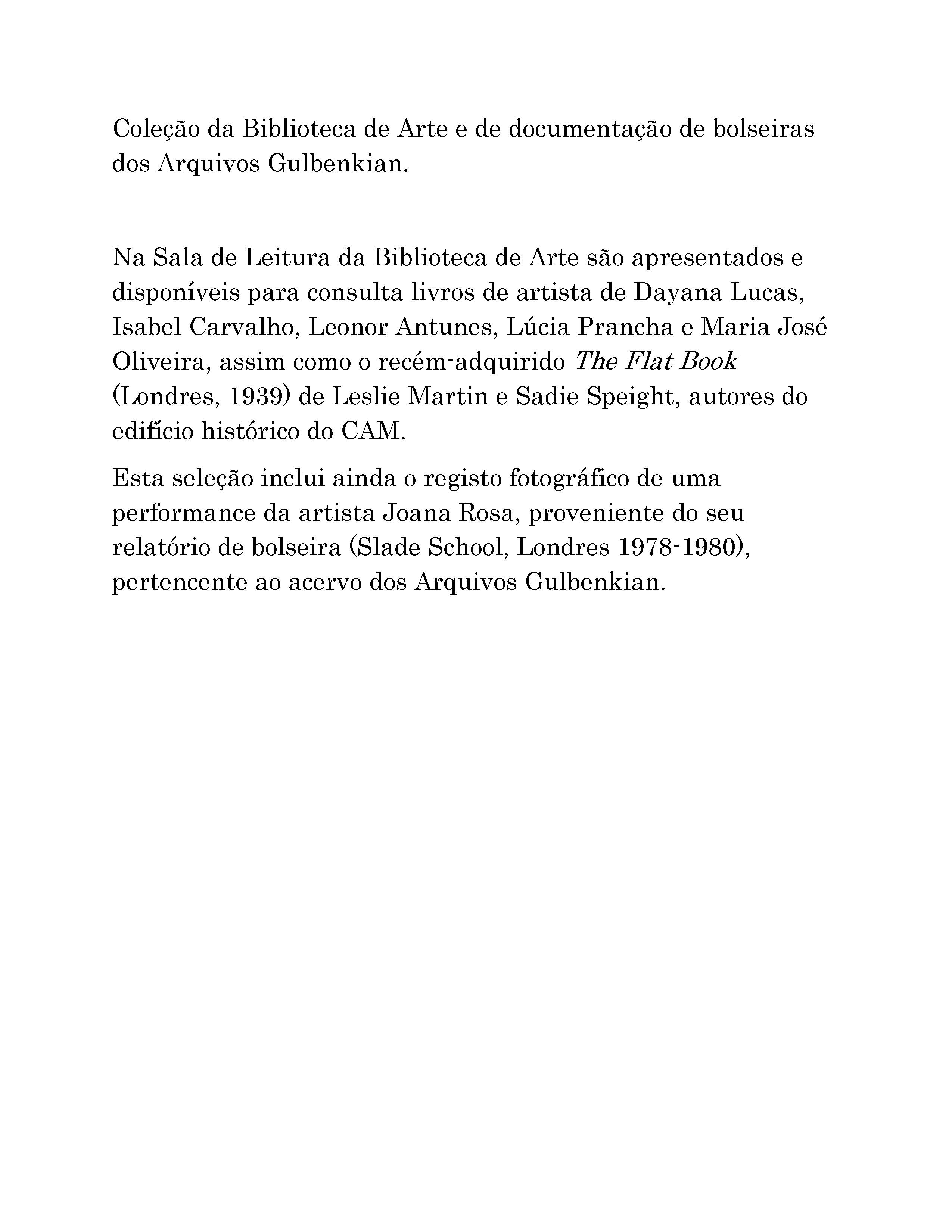 Olhar_Leonor_Antunes_Texto_Sinopse_Page_2