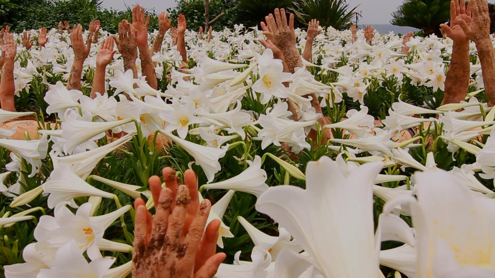 «Song of the Land», de Chikako Yamashiro