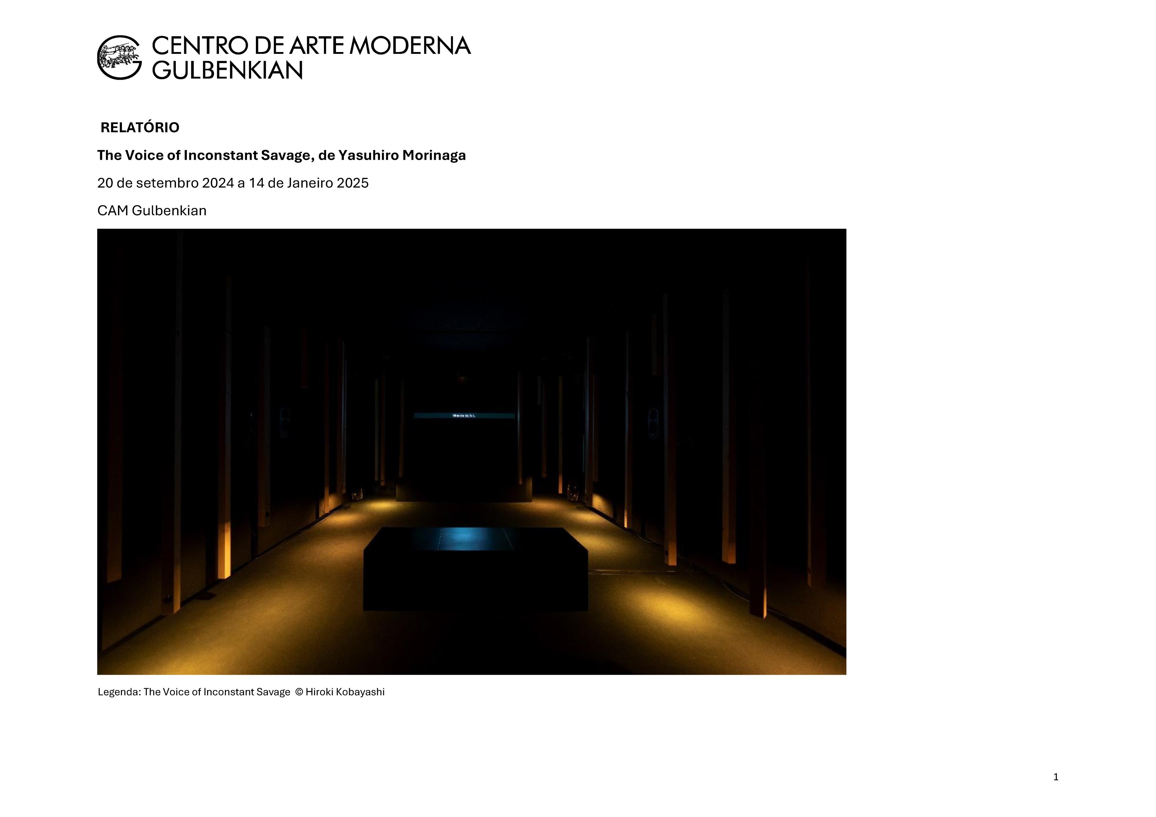 Centro de Arte Moderna / Fundação Calouste Gulbenkian