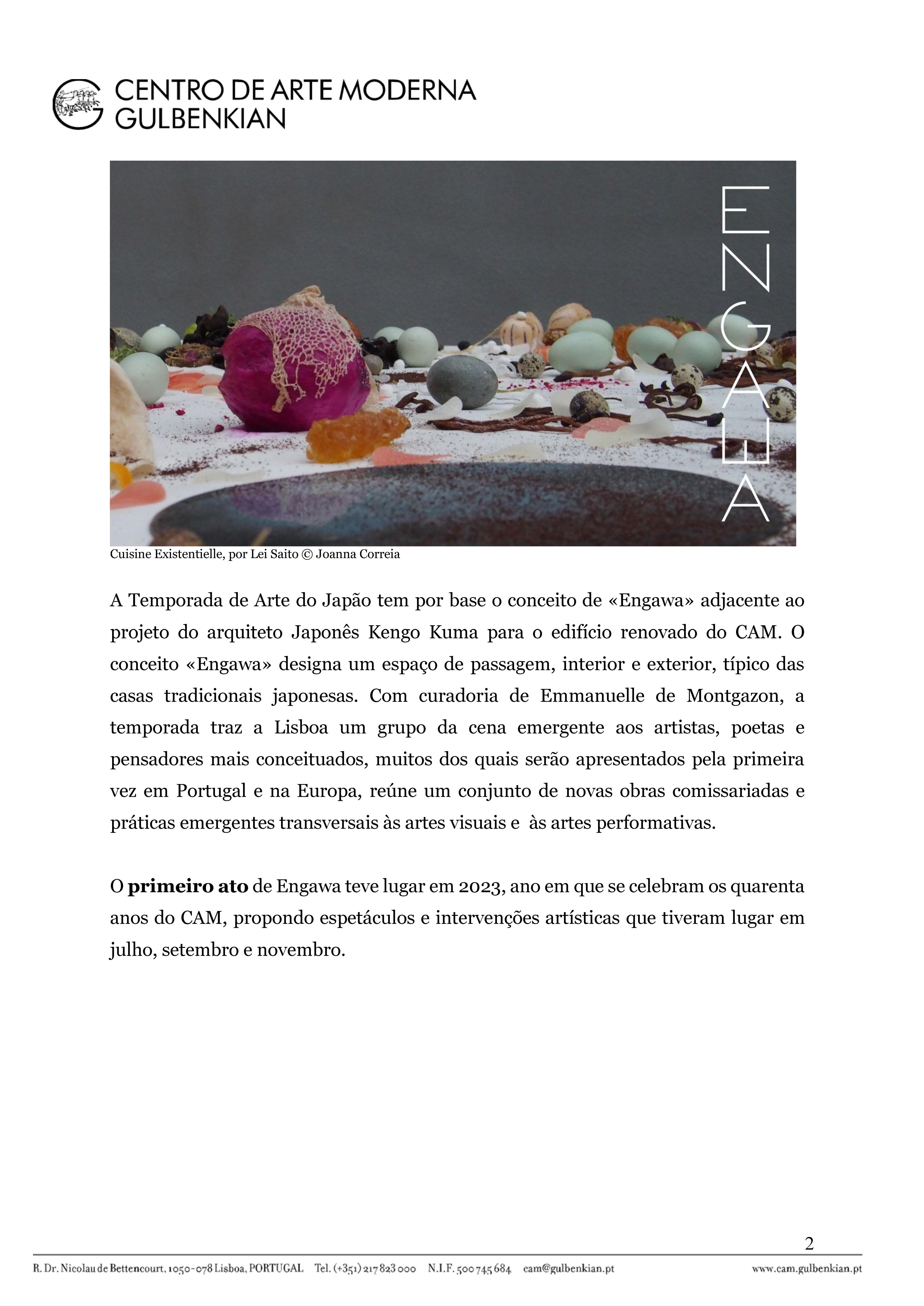 VoiceInconstantSavage_EnquadramentoProgramatico_Page_2