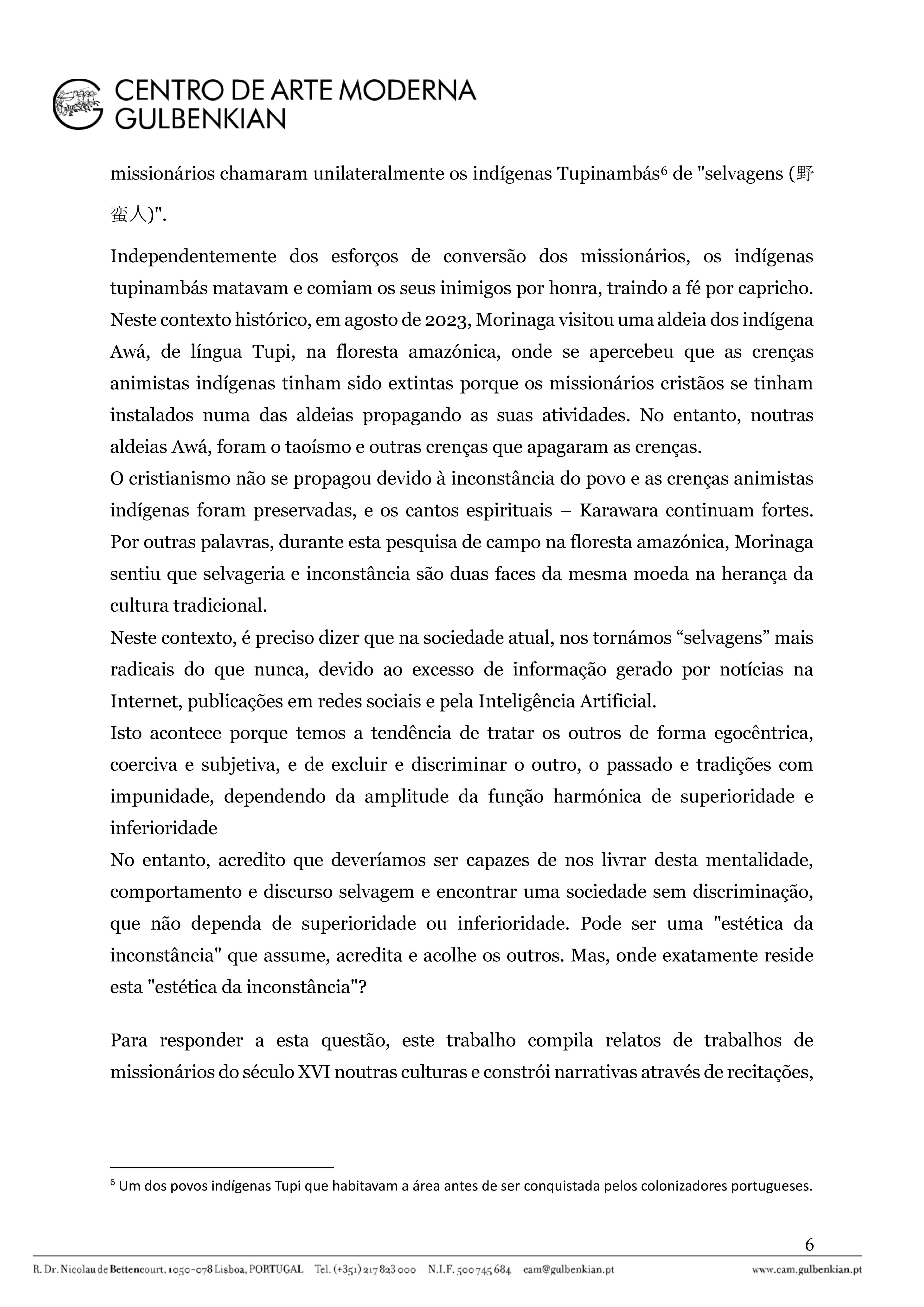 VoiceInconstantSavage_EnquadramentoProgramatico_Page_6