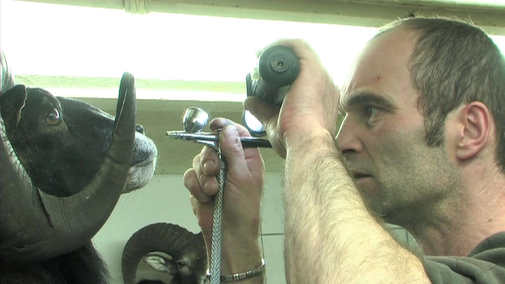 Frame do vídeo de Ali Kazma,«Taxidermist» («Obstruction» series), 2010