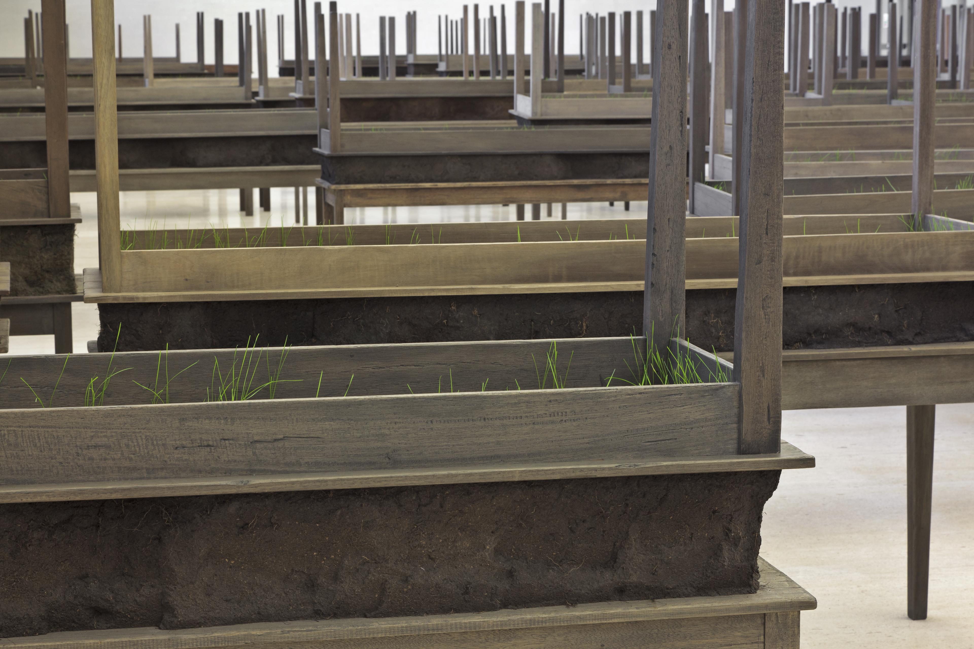 Plegaria Muda