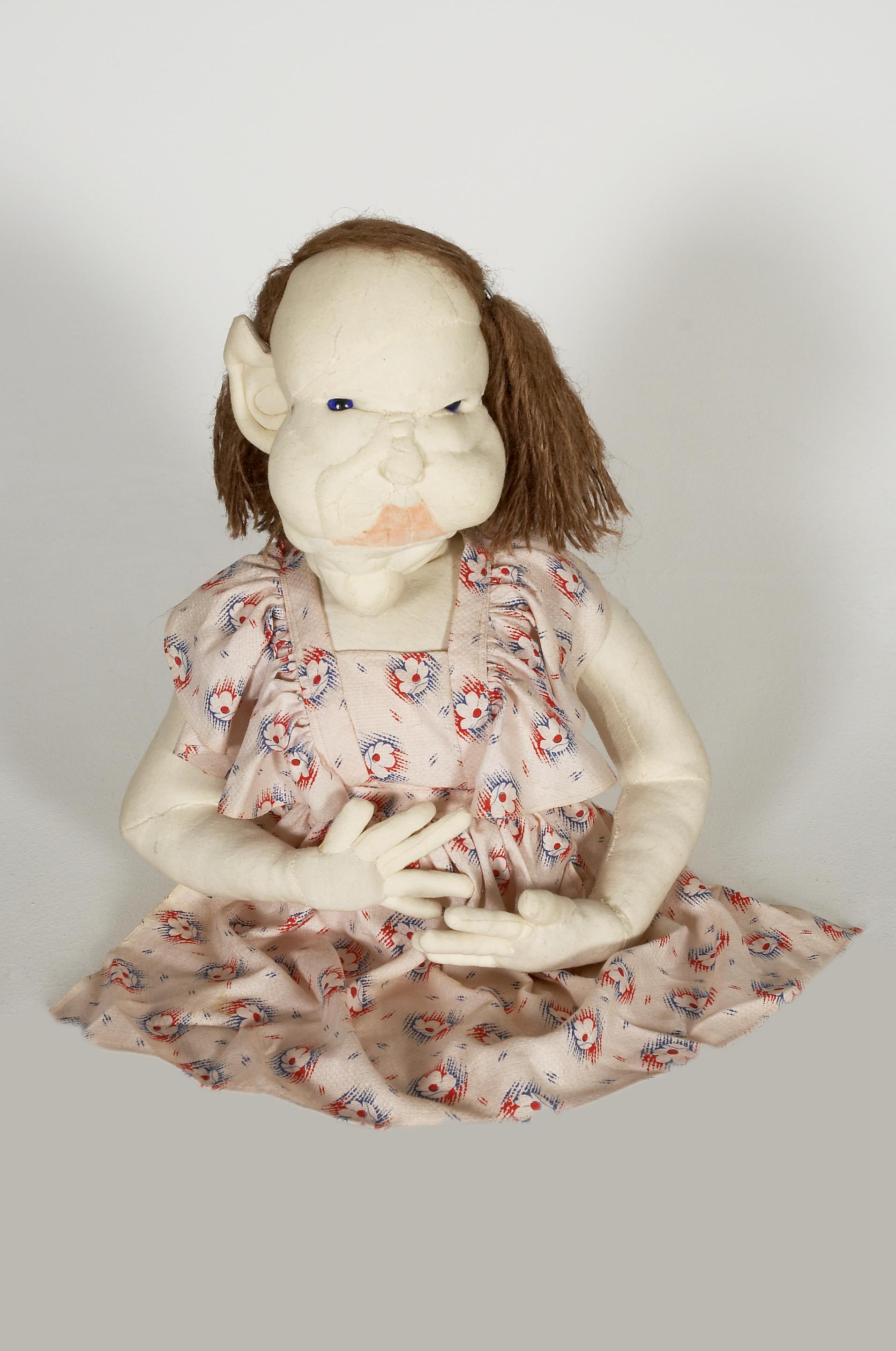 A Princesinha Grávida