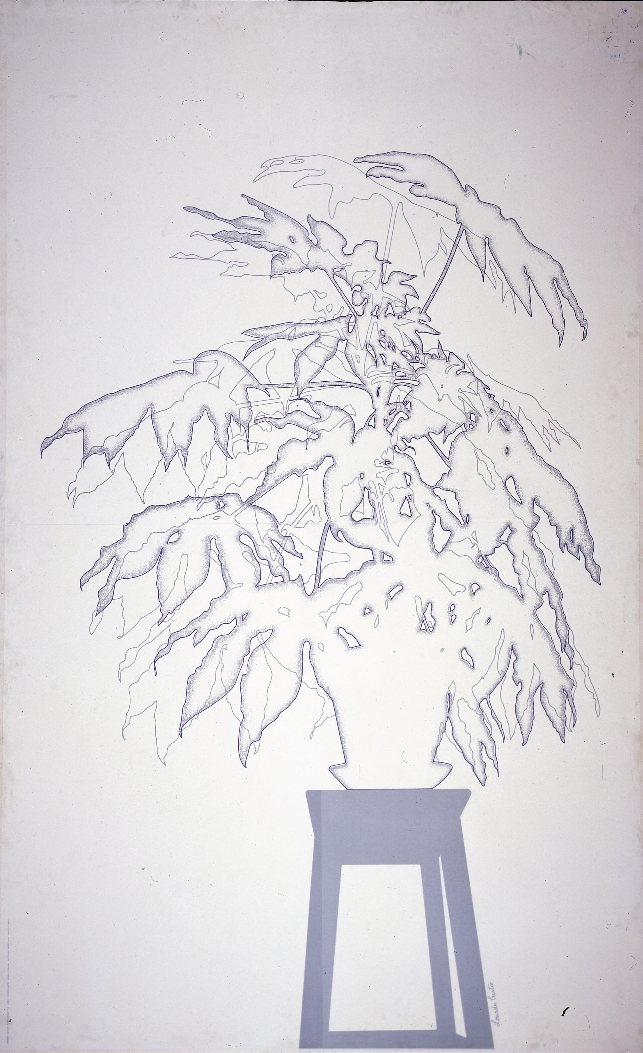 Ombre d'Aralia