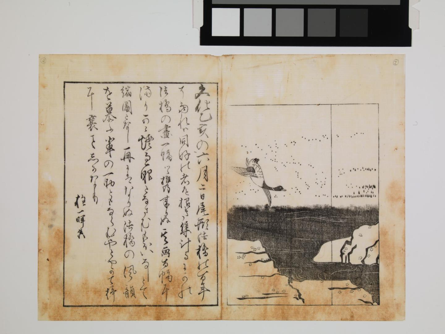 Cem desenhos de Korin ("Korin hyazuku")