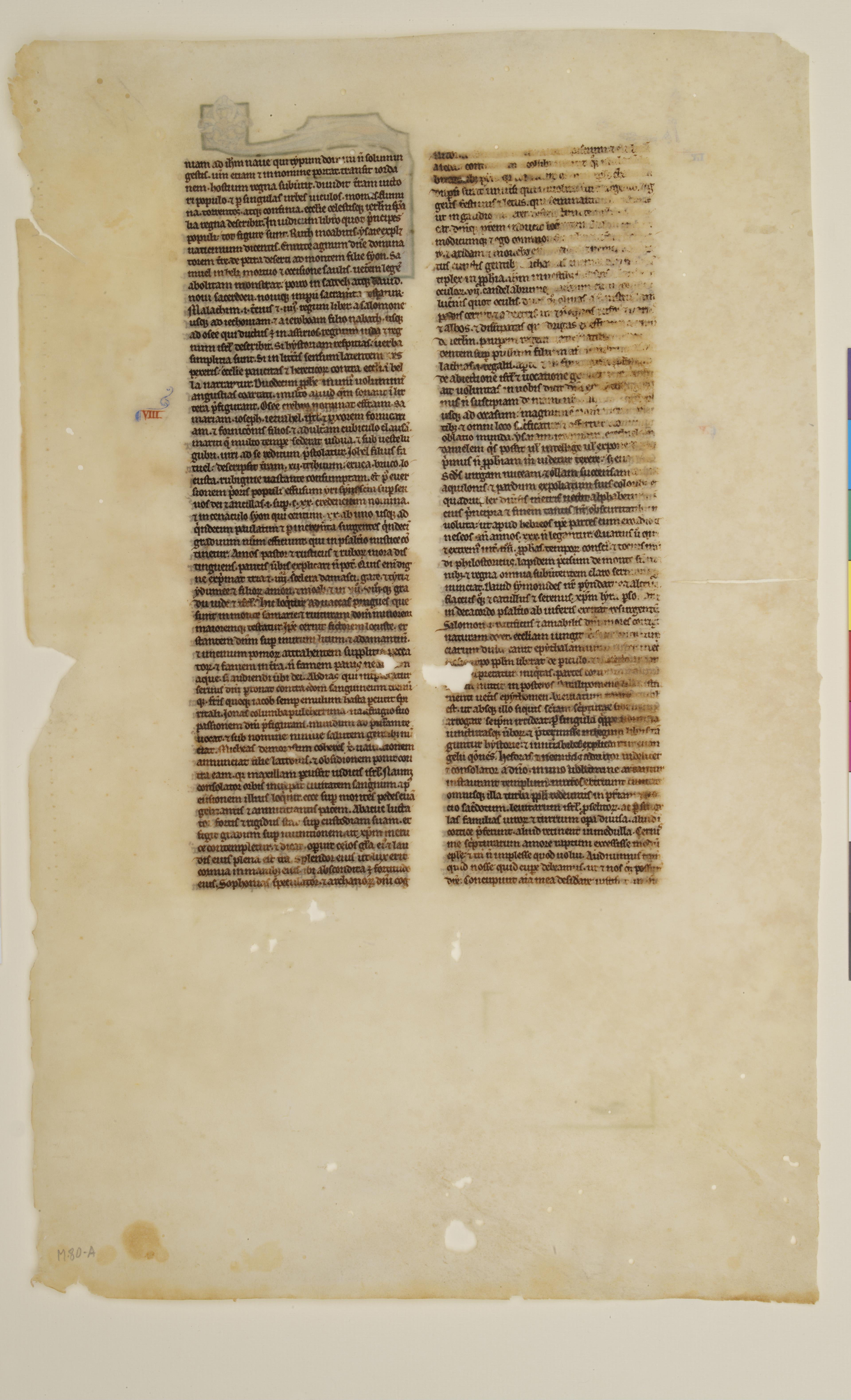 Fragmento de uma Bíblia latina