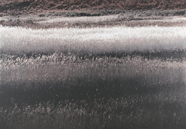 368/06