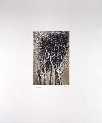 Upright branches
