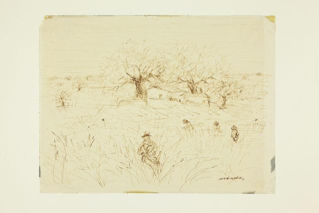 Campo - Alentejo