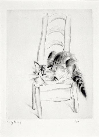 "Le chat sur la chaise"