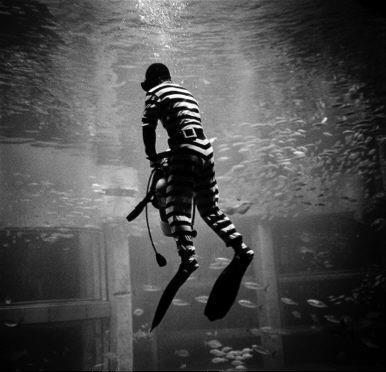 Diver, Osaka #388, Japan 1997 (da série Japan Drug)