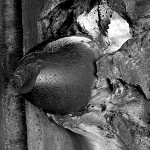 Alexandre Estrela em Paris