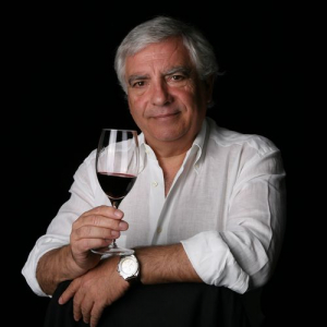 O Cérebro e o Olfato