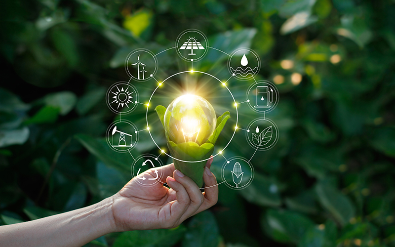 Hand holding light bulb against nature on green leaf with icons energy sources for renewable, sustainable development. Ecology concept. Elements of this image furnished by NASA.