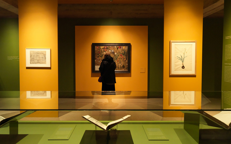 Aspeto da exposição "As Flores do Imperador"