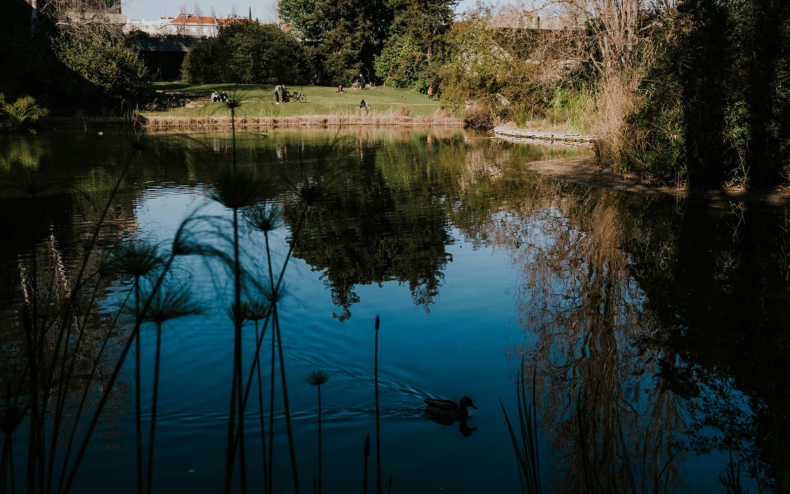 Fundação Calouste Gulbenkian© Pedro Pina
