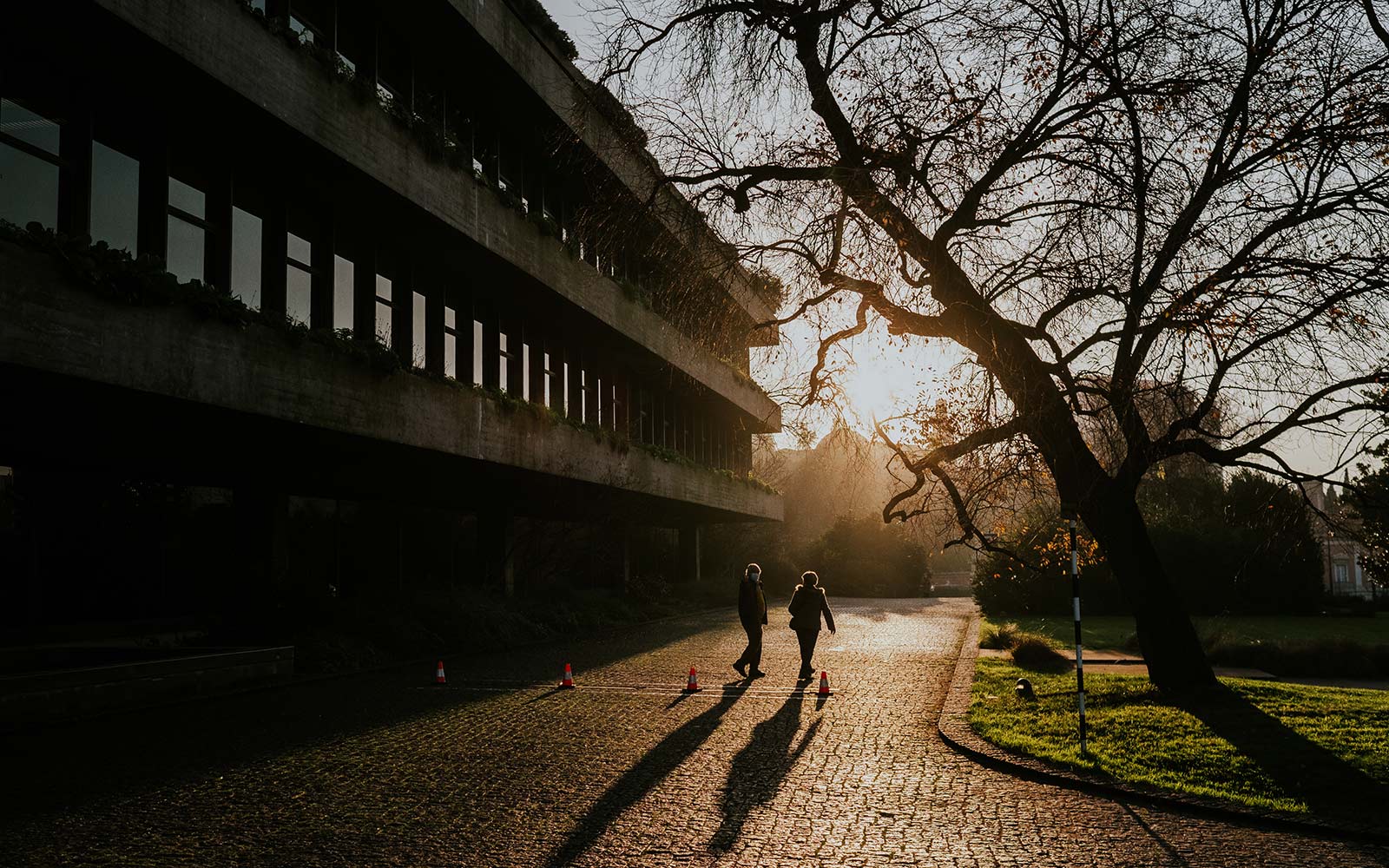 Fundação Calouste Gulbenkian© Pedro Pina