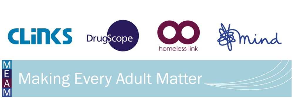 Making Every Adult Matter logo
